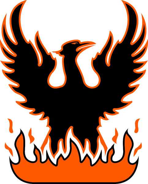 Fire bird team mascot color vinyl sports decal. Customize on line. Fire bird 1